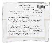 Thumbnail image of current specimen