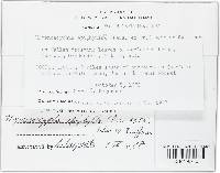 Image Associated With the Occurrence