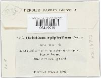 Image Associated With the Occurrence