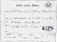 Image Associated With the Occurrence