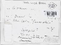 Image Associated With the Occurrence