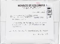 Image Associated With the Occurrence