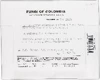 Thumbnail image of current specimen