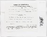 Thumbnail image of current specimen