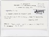 Image Associated With the Occurrence