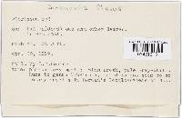 Image Associated With the Occurrence