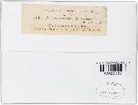 Phialea dearnessii image