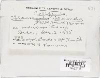 Chloroscypha chloromela image