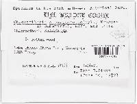 Image Associated With the Occurrence