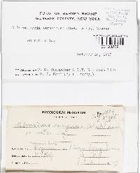 Image Associated With the Occurrence