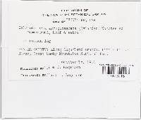 Image Associated With the Occurrence