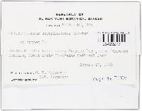 Image Associated With the Occurrence