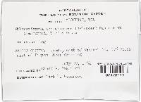 Image Associated With the Occurrence