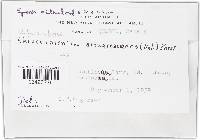 Image Associated With the Occurrence