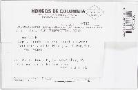 Image Associated With the Occurrence