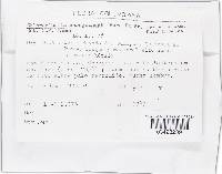 Image Associated With the Occurrence