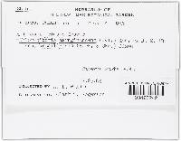 Image Associated With the Occurrence