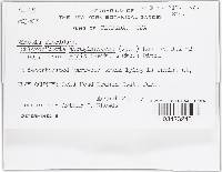 Image Associated With the Occurrence