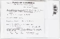 Image Associated With the Occurrence