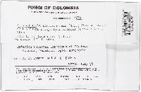 Image Associated With the Occurrence