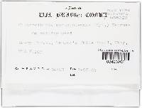 Image Associated With the Occurrence