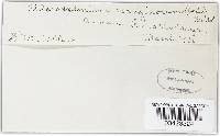 Thumbnail image of current specimen