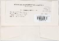 Image Associated With the Occurrence