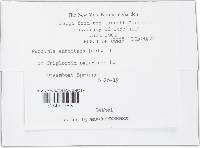 Image Associated With the Occurrence