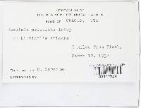 Image Associated With the Occurrence