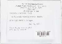 Image Associated With the Occurrence