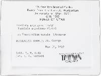 Image Associated With the Occurrence