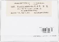 Image Associated With the Occurrence