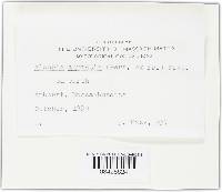 Image Associated With the Occurrence