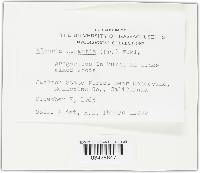 Image Associated With the Occurrence