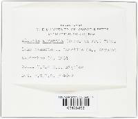 Image Associated With the Occurrence