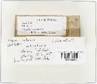 Image Associated With the Occurrence