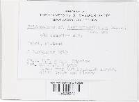 Image Associated With the Occurrence