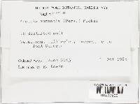 Image Associated With the Occurrence