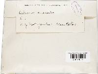 Image Associated With the Occurrence