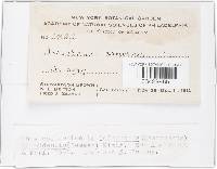 Image Associated With the Occurrence