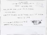 Image Associated With the Occurrence