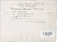 Image Associated With the Occurrence