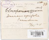 Image Associated With the Occurrence