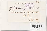 Image Associated With the Occurrence