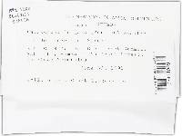 Caloscypha fulgens image