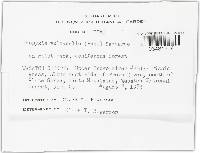 Image Associated With the Occurrence