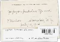 Image Associated With the Occurrence