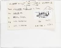 Image Associated With the Occurrence