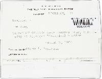 Image Associated With the Occurrence