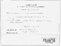 Image Associated With the Occurrence